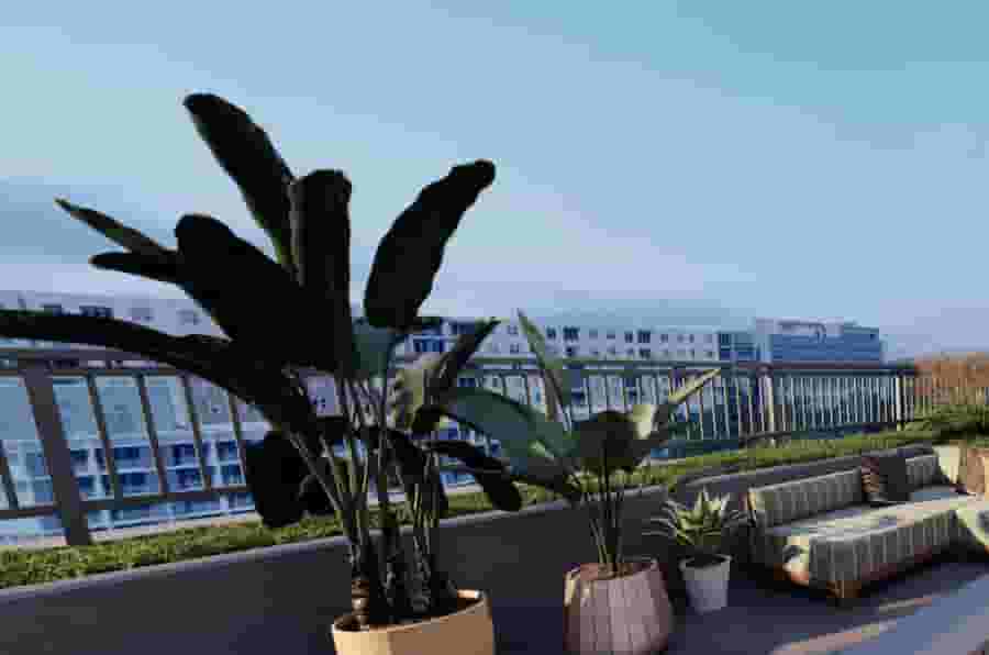 Sky Deck